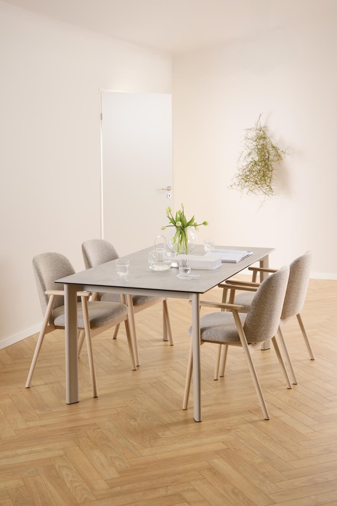 Sedia da pranzo con bracciolo Leo-3